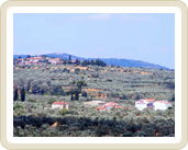  Hani Inn   - 